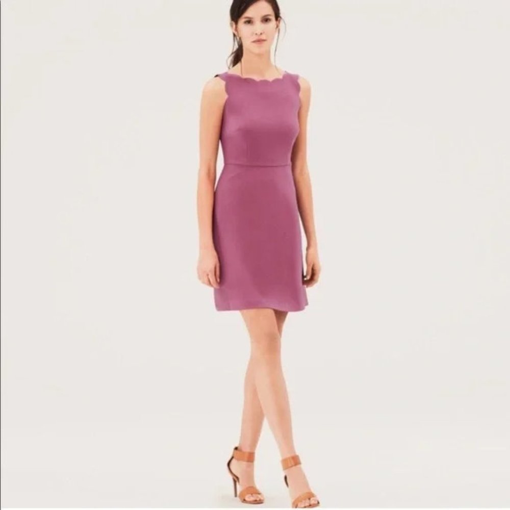 Ann Taylor Loft Pink Scalloped Dress 0P